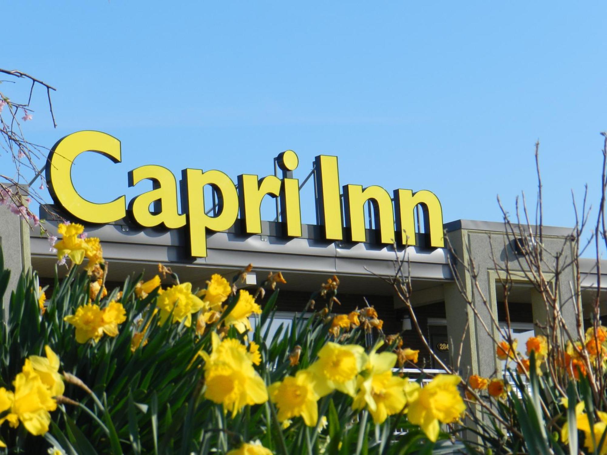 Capri Inn Saint Catharines Ngoại thất bức ảnh