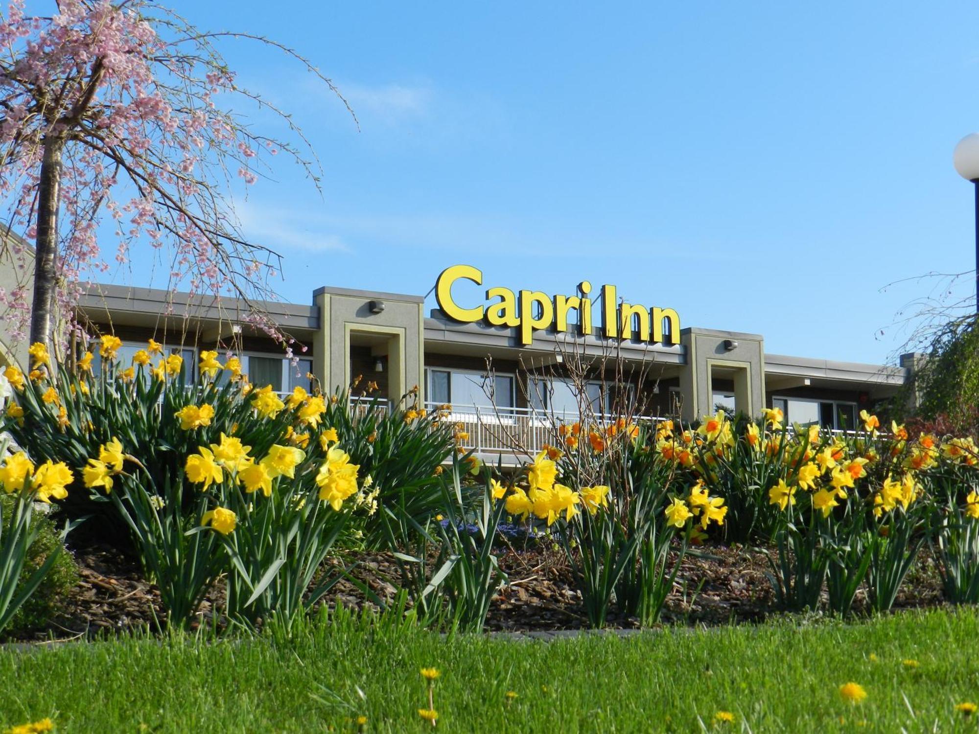 Capri Inn Saint Catharines Ngoại thất bức ảnh