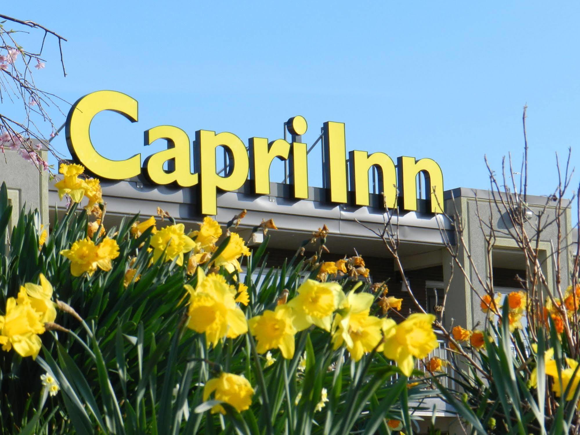 Capri Inn Saint Catharines Ngoại thất bức ảnh