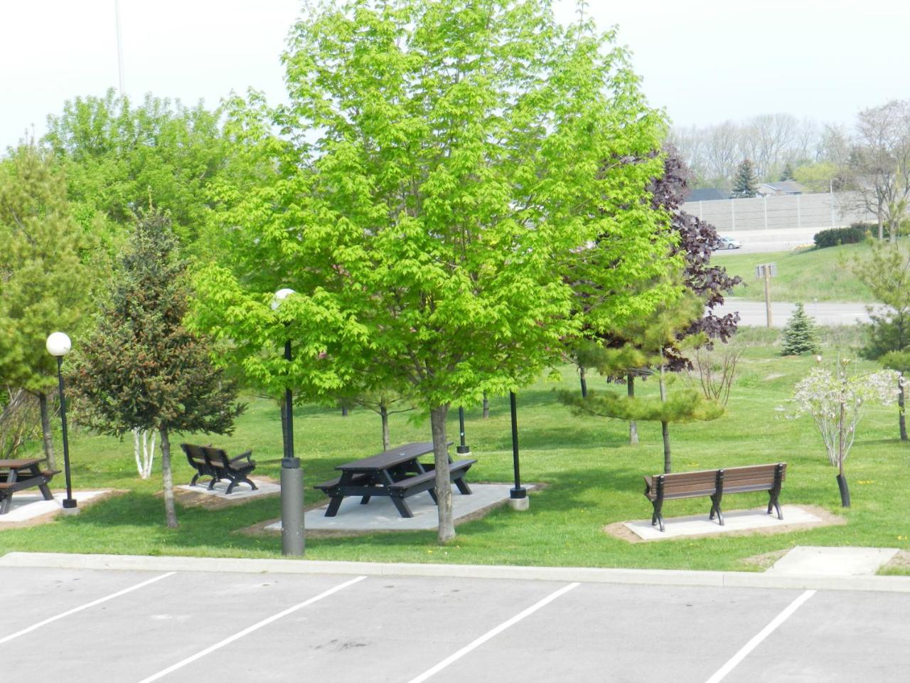 Capri Inn Saint Catharines Ngoại thất bức ảnh