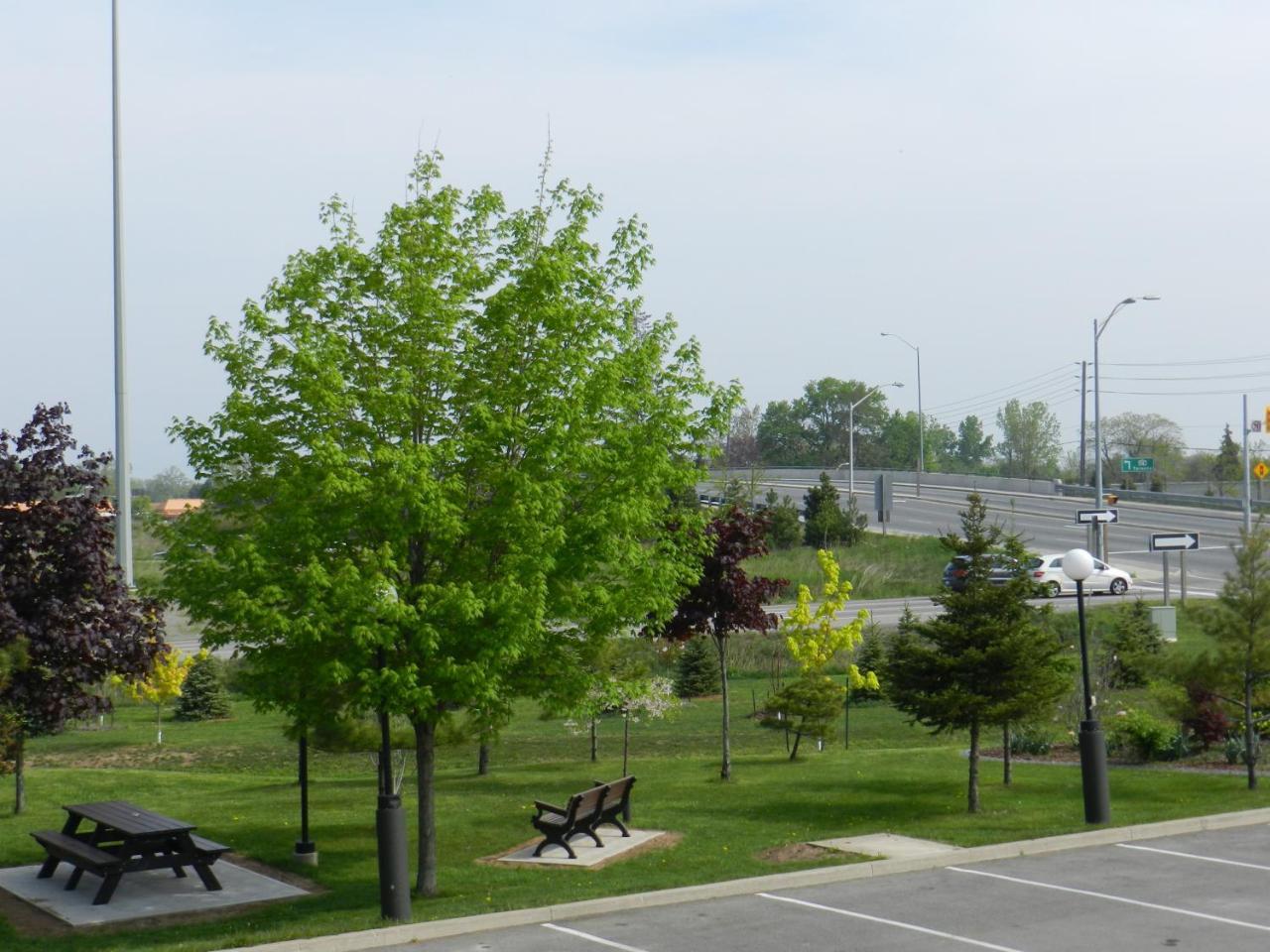 Capri Inn Saint Catharines Ngoại thất bức ảnh