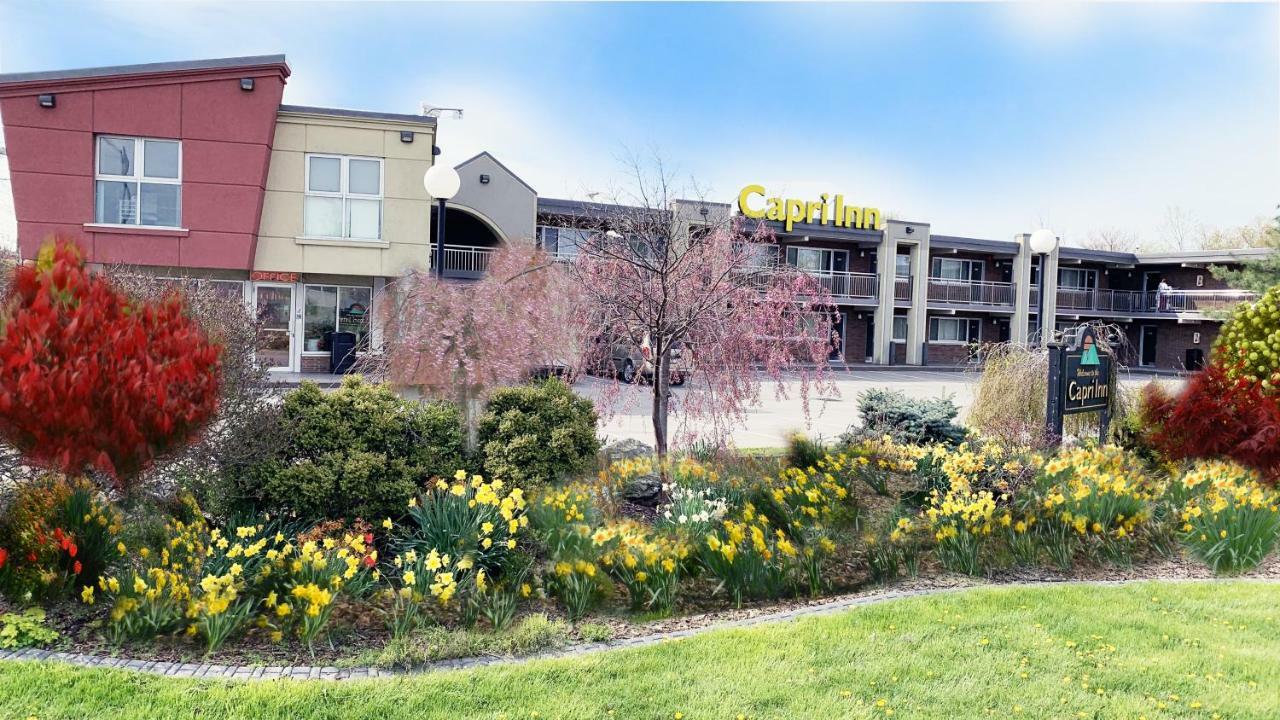 Capri Inn Saint Catharines Ngoại thất bức ảnh